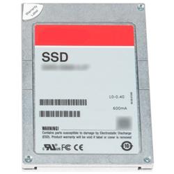 960GB SSD SAS Read Intensive 12Gbps 512e 2.5in Hot-plug PM5-R Drive CK