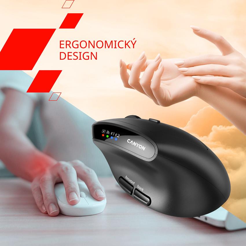 CANYON mouse MW-25 Ergonomic LED AA Dual mode Wireless Black