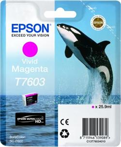 Epson inkoust SC-P600 vivid magenta