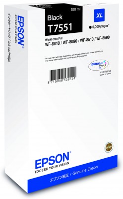 Epson inkoust WF8000 series black XL - 100ml