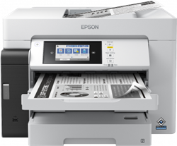 Epson inkoustová tiskárna EcoTank Pro M15180 A3 mono MFP, ADF, duplex, USB, LAN, WiFi