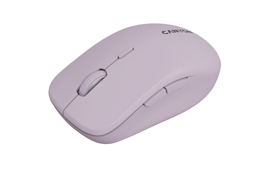 CANYON mouse MW-12 Dual band Wireless Pink