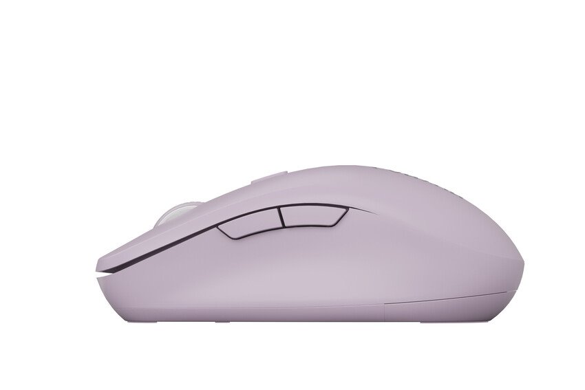 CANYON mouse MW-12 Dual band Wireless Pink