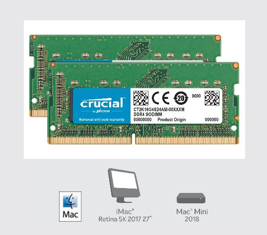 Crucial DDR4 64GB (2X32GB) SODIMM 2666Mhz CL19 pro Mac