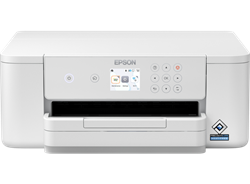 Epson WorkForce Pro WF-M4119DW, mono, A4, duplex, LAN, WiFi