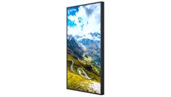 Hisense 49WF45H, 49” Window Facing - High Brightness Display
