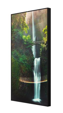 Hisense 55WH80F, 55” Window Facing - High Brightness Display