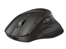 HP Ultra-Fast Scroll Wireless Mouse 785M
