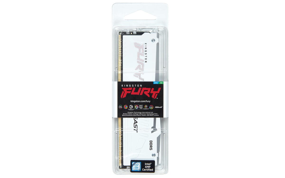 Kingston FURY Beast DDR5 32GB 6400MT/s DIMM CL32 RGB EXPO White