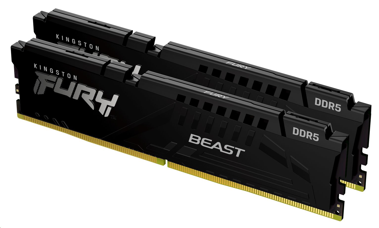 Kingston FURY Beast DDR5 8GB 5600MT/s DIMM CL36 EXPO