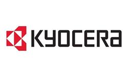 Kyocera UG-50, TPM (Trusted Platform Module)