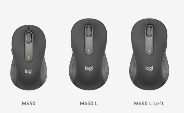 Logitech Signature M650 L Wireless Mouse - GRAPHITE - EMEA