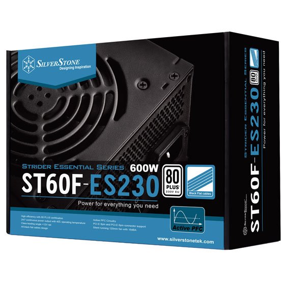 SilverStone 80 PLUS 230V EU 600W ATX zdroj