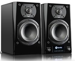 SVS PRIME WIRELESS Pro Powered Speaker PGB