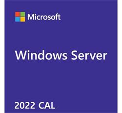 Microsoft OEM Windows Server CAL 2022 English 1pk DSP OEI 1 Clt Device CAL