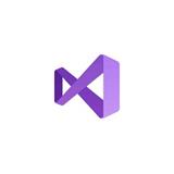 Microsoft Visual Studio Professional 2022 (Charity/Perpetual/OneTime/)