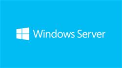 Microsoft Windows Server 2022 Remote Desktop Services - 1 Device CAL (Commercial/Perpetual/OneTime/)