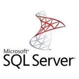 MS DOEM Microsoft® SQL Server® 2019 Standard Additional Server License (No Media/Key)