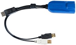 Raritan Digital DisplayPort, USB CIM required for virtual media (BIOS access), absolute mouse synchronization