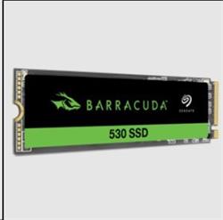 Seagate BarraCuda 530, 1024GB SSD, M.2 2280 PCIe 4.0 NVMe (č/z: 7400/6100MB/s)