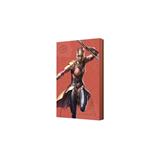 SEAGATE HDD External Okoye Special Edition FireCuda Gaming Hard Drive (2.5'/2TB/USB 3.0)