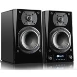 SVS PRIME WIRELESS Pro Powered Speaker PGB