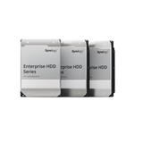 Synology HDD SATA 3.5” 4TB HAT5300-4T, 7200ot./min., cache 256MB, 5 let záruka