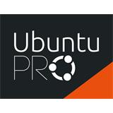 Ubuntu Pro Full Support (weekday) - Fyzický server / Hypervisor
