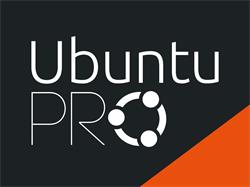 Ubuntu Pro Infra Support (24x7) - Virtual